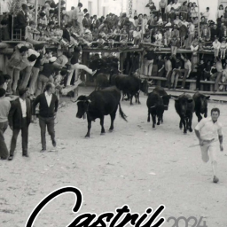 CARTEL TOROS