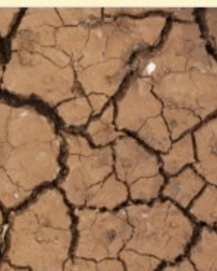 Encuesta Plan Municipal Cambio Climático de Castril