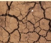 Encuesta Plan Municipal Cambio Climático (PMCC) de Castril