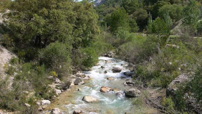 Subvenciones para la certificación de productos naturales o artesanales y de servicios de turismo de naturaleza