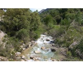 Subvenciones para la certificación de productos naturales o artesanales y de servicios de turismo de naturaleza