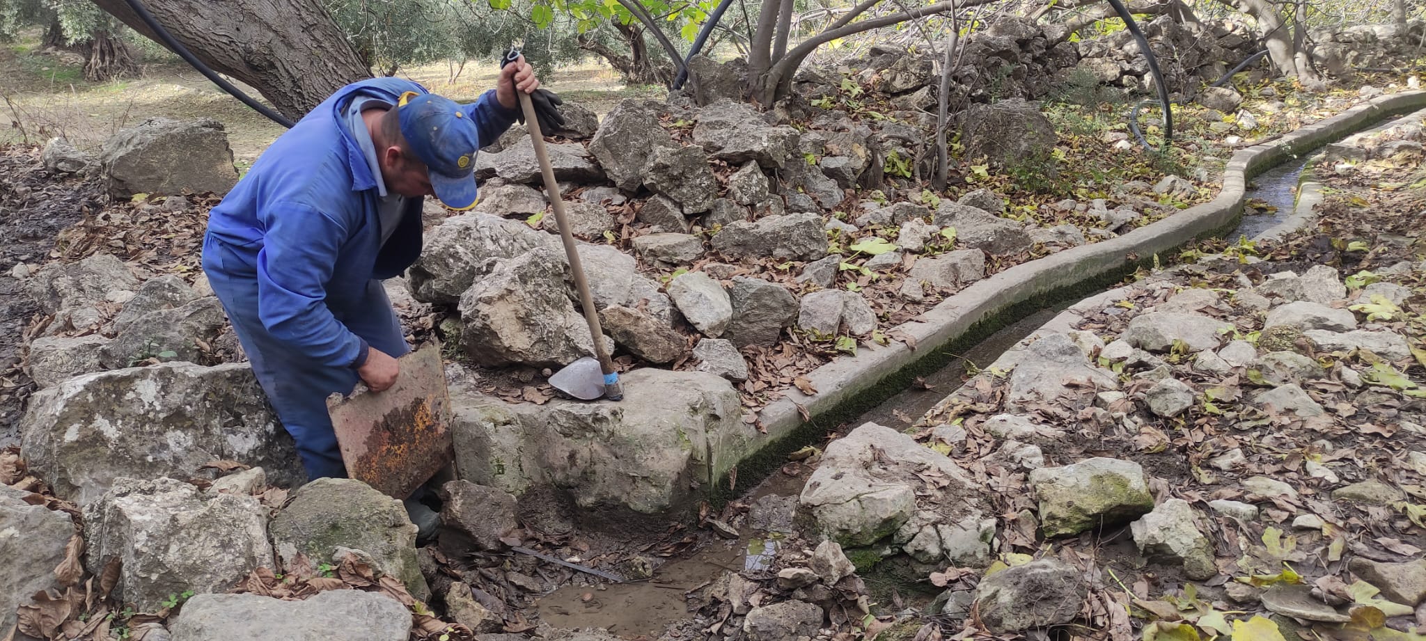 WhatsApp Image 2024-11-23 at 08.18.30